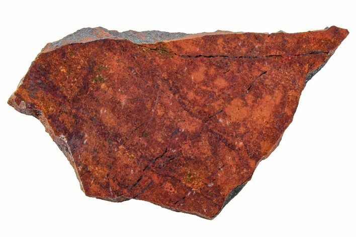 Vibrant Sonora Sunset (Chrysocolla Cuprite) Slab - Mexico #323930
